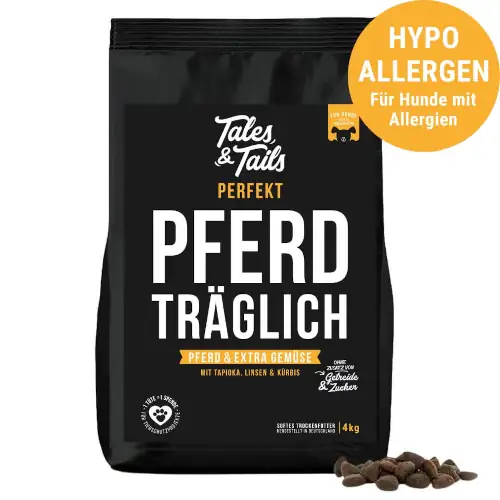 Pferd träglich