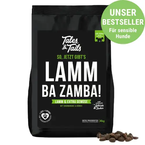 Tales & Trails – “Lamm Ba Zamba”